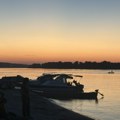 Dunav se povukao i otkrio bombu na Čortanovačkoj plaži: „Dunav ovo nije doneo, ljudi su“