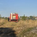 Dečak izazvao požar u Smederevskoj Palanci? Vatra ubrzo izmakla kontroli, crni dim uznemirio meštane