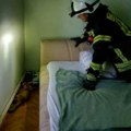"Pošteno nas je uplašila" Hrvatski vatrogasci dobili čudnu dojavu, kada su ušli u spavaću sobu počela je da štekće…