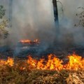 Čovek izgoreo u plamenu, dok je palio korov