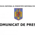 Nacionalni savet Rumuna Političke partije da ne zloupotrebljavaju stranu tragediju u Boru