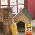 Učenici Dvanaeste beogradske gimnazije napravili kućice za pse