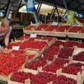 Ovo su cene famoznih TREŠANJA - bićete baš IZNENAĐENI! Telegraf tokom vikenda obišao beogradske PIJACE!