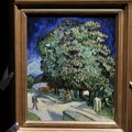 Stotine ljudi u Hongkongu čekale da vide Van Gogovu sliku prvi put posle 60 godina