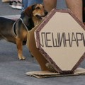 FOTO, VIDEO: Kako je izgledao protest u Novom Sadu
