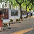 Slike Velaskeza, Goje i El Greka…iz muzeja Prado na gradskom trgu
