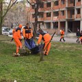 Sadnja, uređenje i čišćenje javnih površina širom Niša
