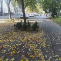Početak nedelje u Nišu uz sunce i temperaturu do 20 stepeni