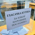 Rezultati na jugu: Pobeda Studentske liste u Nišu, Pirotu i Dimitrovgradu, ostali gradovi i opštine za SNS