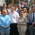 Tepić: Inspektorima Milenkoviću i Mitiću jedino javnost drži glavu na ramenima