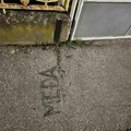 Da se zna gde je međa Urnebesni natpis na trotoaru između dve kuće u čačanskom naselju Ljubić kej (foto)