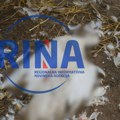 Užas u Loznici kod Čačka: Psi lutalice poklali celu živinu, domaćin zatekao stravičan prizor u kokošinjcu (FOTO)