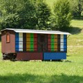 Raspisan javni poziv za podsticaje pčelarima: 1.000 dinara po košnici