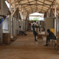 UN: U epidemiji kolere u Nigeriji najmanje 90 mrtvih i 12.000 zaraženih