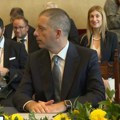 Počeo sastanak grupe "Prijatelji Zapadnog Balkana": Đurić predstavlja Srbiju u Rimu