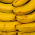 Perete li banane? Evo razloga zašto bi to trebalo raditi