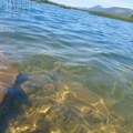 Jezero Štikada, biser Like i raznolikost živog sveta (AUDIO)