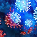 Korona virus: SZO upozorava da se nova JN.1 kovid varijanta ubrzano širi u svetu