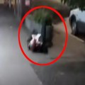 Opozicionar se žestoko obrukao za sve pare Napravio budalu od sebe! Mrtav usviran se kotrljao po ulici (video)