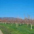 Posle zimskog jutra stiže proleće, temperatura do 17 stepeni