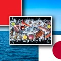 Preokret iz Kine: Nastavljaju da uvoze japanske morske plodove?