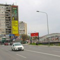 Prolaznika ujela zmija u Kragujevcu: Stručnjak savetuje kako postupiti