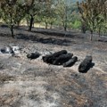 Kuće sačuvane od vatre: Požar u dva sela Jablaničkog okruga