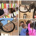 Rođendan Kiki se ne propušta! Mamutfest u Kikindi donosi zabavu i kreativne radionice za sve generacije