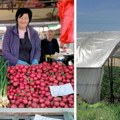 Rano povrće dobro rodilo, a cene lanjske. Energetska kriza nije stigla do naših plastenika i pijaca