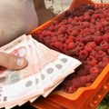 Mislili ste da se voće bere za siću? Radnici u Srbiji uzimaju 180.000 dinara mesečno, gazde plaćaju smeštaj i sve obroke - evo…