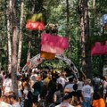 Muzika odzvanja šumom: 11. Mountain Music Fest donosi dobar provod za decu i odrasle na 1.000 metara nadmorske visine