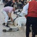 Potresne scene uoči Sinjske alke: Konji pali usred centra grada, svi su u šoku (video)
