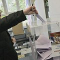 Međunarodna misija za posmatranje izbora u Srbiji: Izbore obeležili visoka izlaznost, politička polarizacija i nepravilnosti
