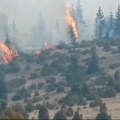 Lokalizovan veliki požar kod prijepoljskog sela Borovača