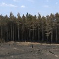 U Vranju se stanje sa požarima stabilizuje - nema novih novih, aktivni se gase