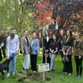 Na današnji dan 2024: Studenti sadili drveće, a direktorka Gimnazije se ponosila uspehom učenika Studenti posadili „drvo…