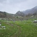 Aprilski mraz preti voćnjacima u Polimskoj dolini