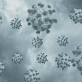 Virus gripa se modifikovao i krenuo ranije, najviše zaraženih među mladima i radno aktivnima