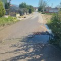 Meštanin Ulice Nikole Tesle preti tužbom: Neću da živim pored kanalizacije