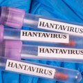 Hantavirus na kruzeru: Da li je svet pred novom pandemijom ili je reč o nepotrebnoj panici?