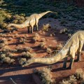 Više od 100 jaja dinosaurusa otkriveno na jednom mestu: Neka su velika kao fudbalska lopta