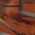 Da li se više isplati napraviti domaći ajvar ili ga kupiti? Računica će vas iznenaditi