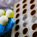 Otrov koji napada nervni sistem: Kako je tinejdžer izbegao trovanje čokoladama poslatim u paketu