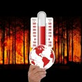 Ako ovo nije alarmantno za našu planetu onda ne znamo šta jeste Svetska meteorološka organizacija: Januar 2024. najtopliji u…