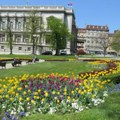 Šteta u cveću 12,7 miliona: Prošle godine ukradeno 1.000 komada rasada ukrasnog bilja iz gradskih parkova i sa javnih…