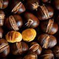 Ово орашасто воће чува срце и сузбија раст тумора ФОТО