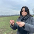 Strna žita dobro podnela mraz u Moravičkom okrugu: Pšenica u fazi bokorenja, poljoprivrednici prolaze obaveznu edukaciju o…