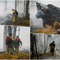 Novi požar u Černobiljskoj zoni isključenja! Vatrena stihija zahvatila šumsko tlo na površini od 1 hektara, poznato šta se…
