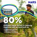 Volite žvakaće gume sa ukusom mentola? Njihova proizvodnja zavisi od jednog dela Indije