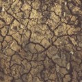 Izvješće WMO-a: Globalne zalihe vode se smanjuju, posebno u srednjoj i istočnoj Europi